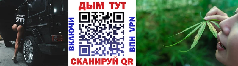 что такое   Белая Холуница  Шишки марихуана семена 